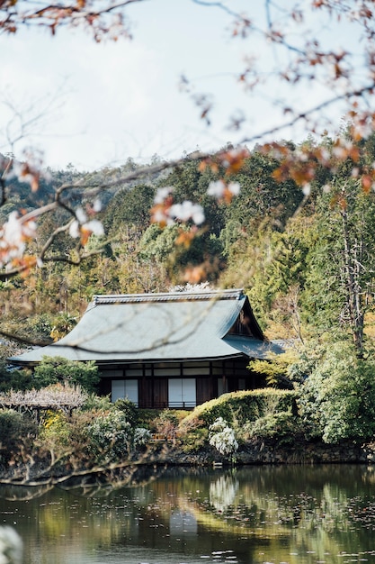 traditional japan home syle and pool