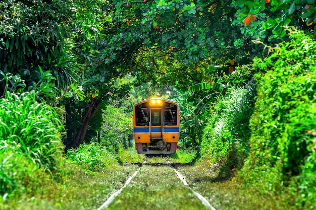 Free photo train through a tunnel of trees in bangkok, thailand.