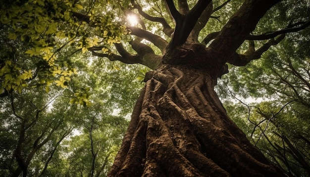 Tranquil scene of ancient banyan tree growth generative AI