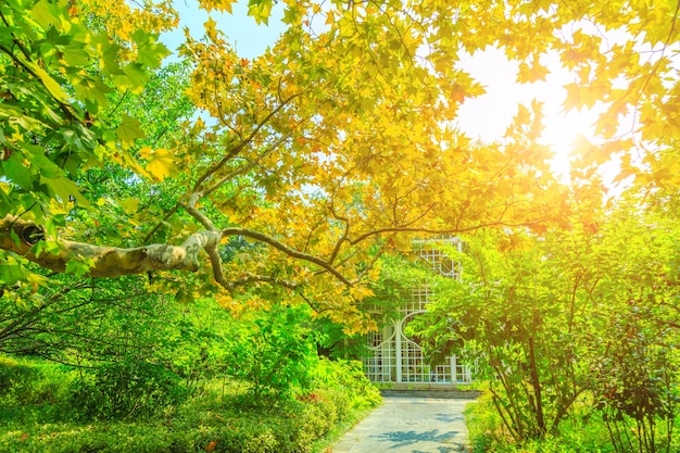 tranquil spring area landscape green morning