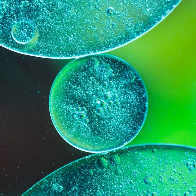 Translucent oil drops in liquid on colorful blurred background