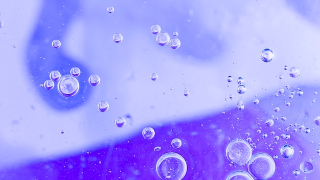 Transparent bubbles over the purple background