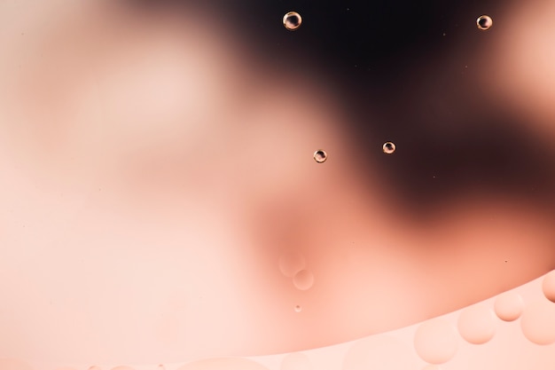 Transparent oily bubbles on vibrant copy space watery background