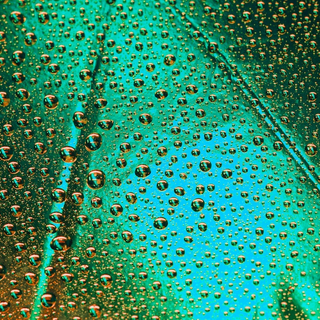 Free photo transparent water droplets on the green textured surface