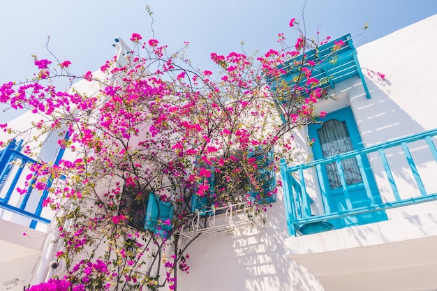 travel bougainvillea cyclades greece blue