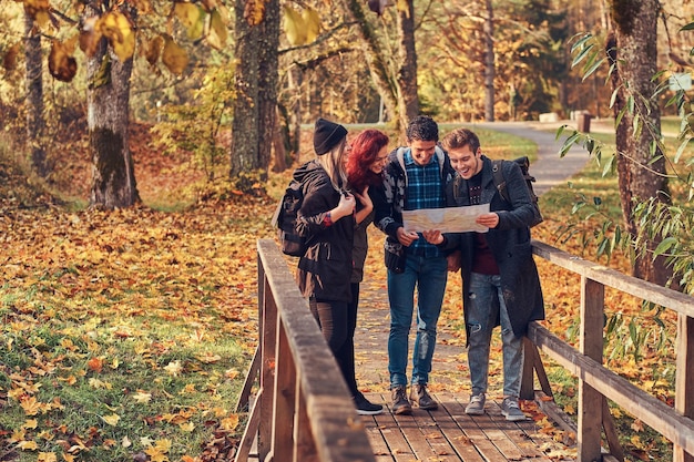 Travel, hiking, adventure concept. Group of young friends hiking in autumn colorful forest, looking at map and planning hike.