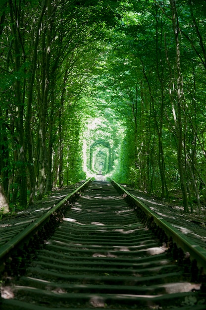 Free Photo travel landscape ukraine love railway