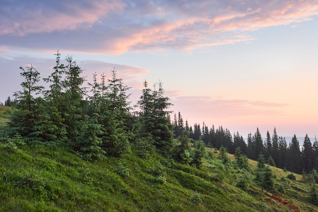 Travel, trekking. Summer landscape - mountains, green grass, trees and blue sky.