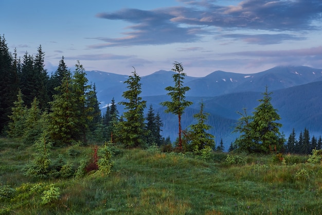 Travel, trekking. Summer landscape - mountains, green grass, trees and blue sky.