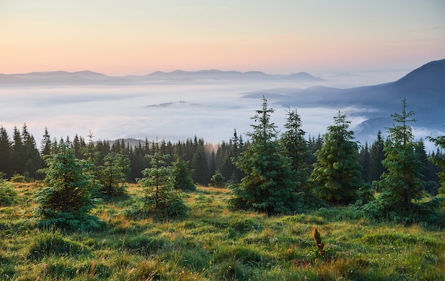 Travel, trekking. Summer landscape - mountains, green grass, trees and blue sky.