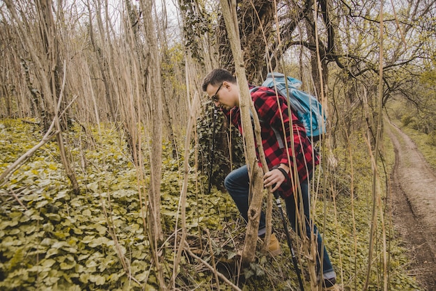 Free photo traveler walking in the forest