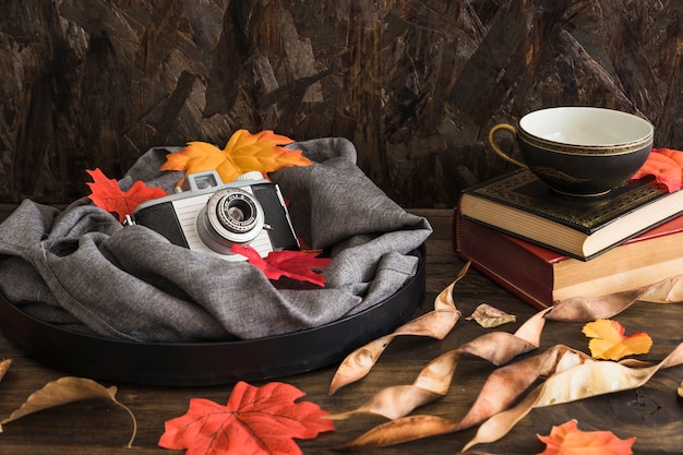 Tray with camera and leaves near books and cup