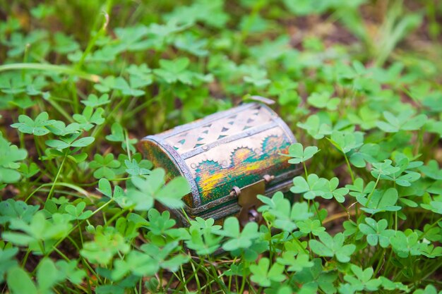 treasure chest in  clover plant