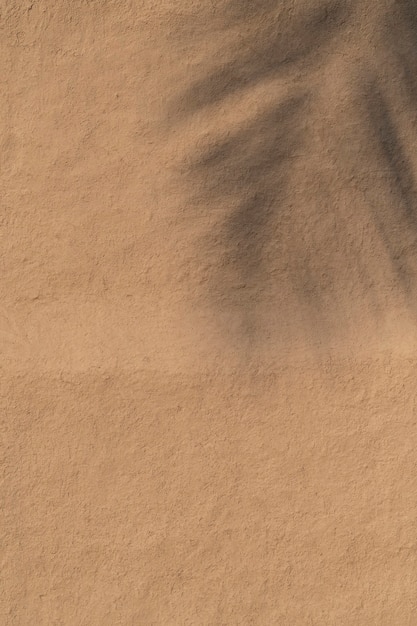 Tree branch shadow on a grunge wall