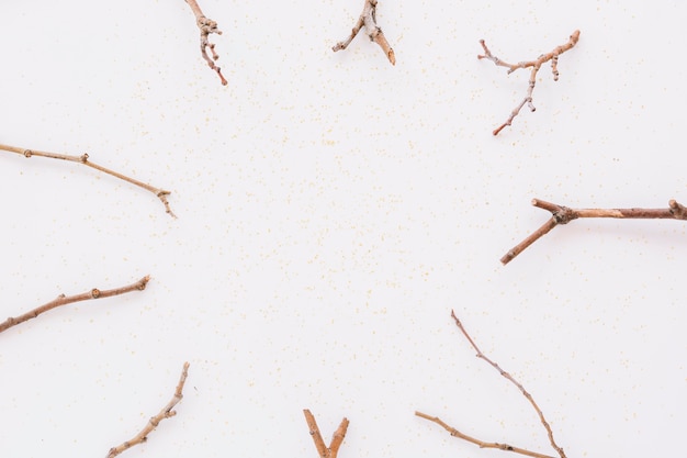 Free photo tree branches on table