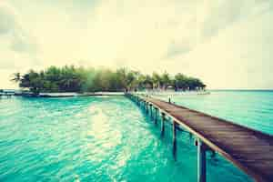 Free photo tree island background blue ocean