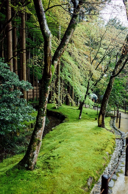 tree park garden in japan