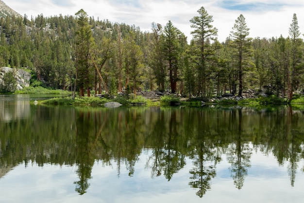 Free photo trees of the forest reflected in the big pine lakes, california, the usa