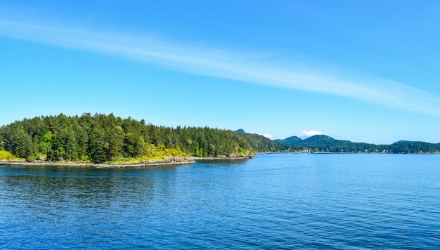 Trees growing on the mountains in front of the water