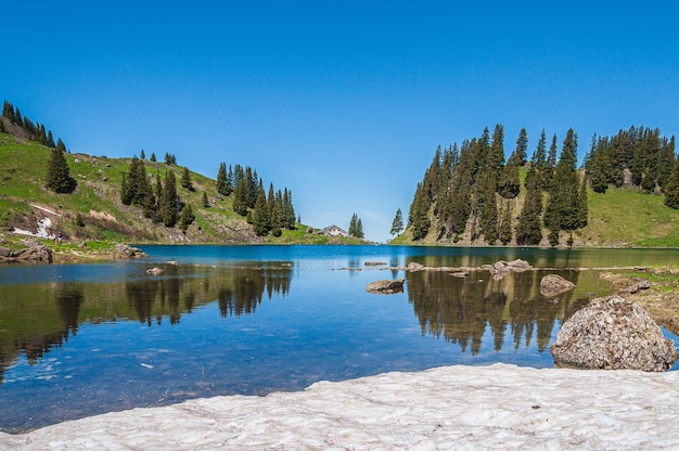 Free photo trees on the mountains surrounded by lake lac lioson in switzerland