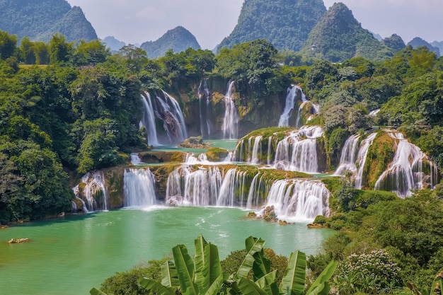 Free photo trees tropical background china natural falls