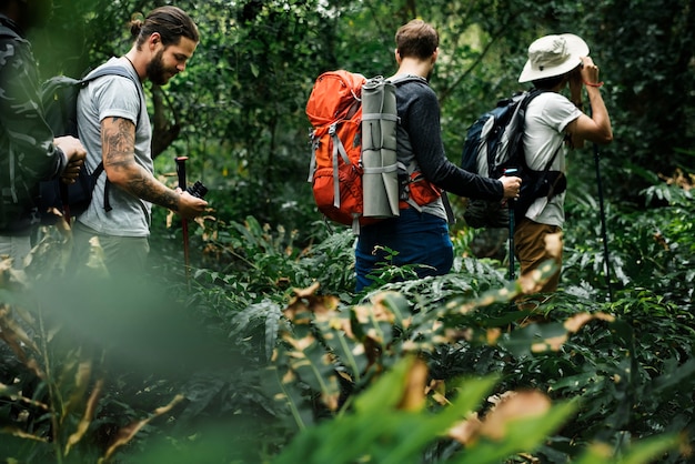 Free photo trekking in a forest