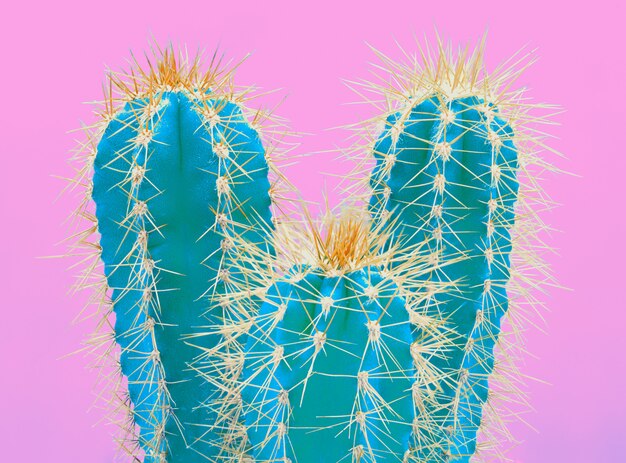 Free photo trendy tropical neon cactus plant on pink