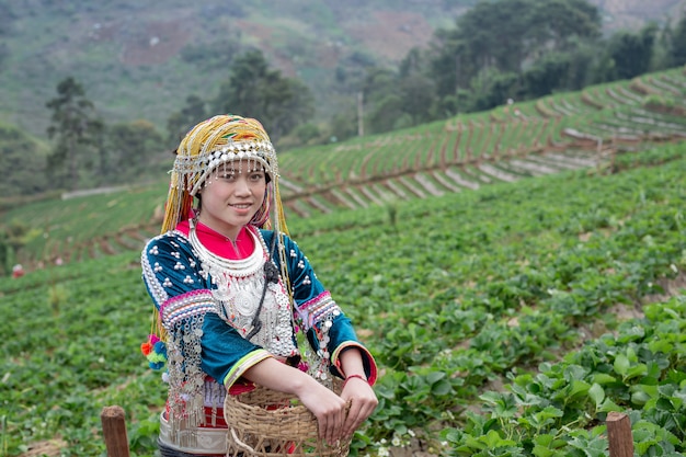 Tribal girls are collecting strawberries 