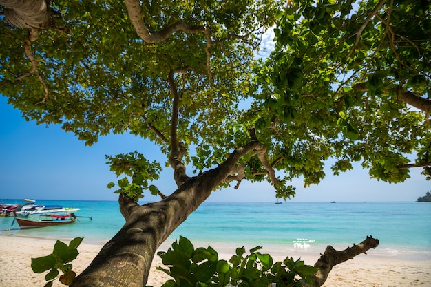 tropical beach, Krabi, Thailand