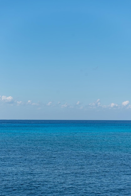 Free Photo tropical beach on a sunny day