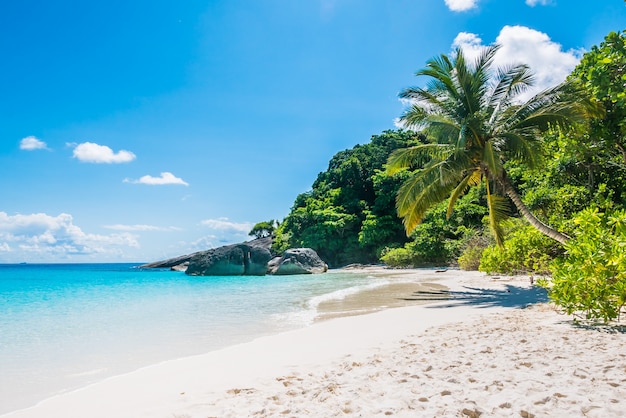 Tropical beach with white sand