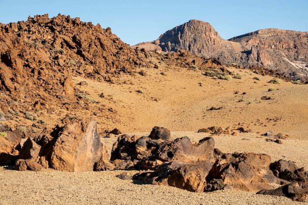 Tropical desert with rocks