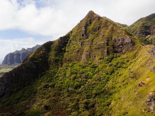 Tropical hawaii landscape with mountain view