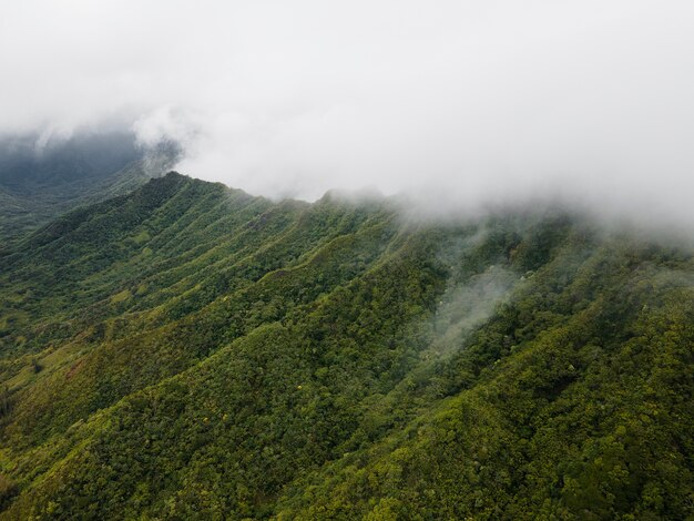 Tropical hawaii landscape with mountain view