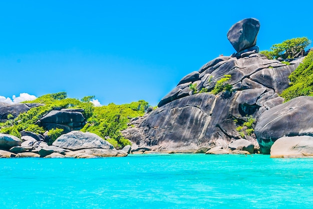 Free photo tropical landscape with stones and vegetation