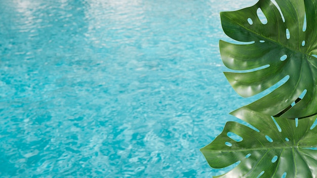 Free photo tropical leaves with pool background