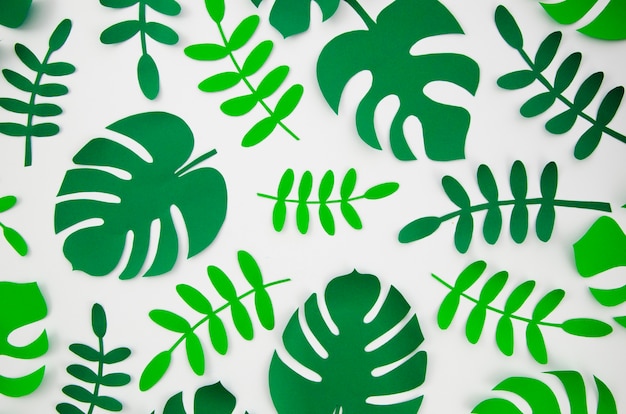 Free Photo tropical monstera plants in the style of cut paper