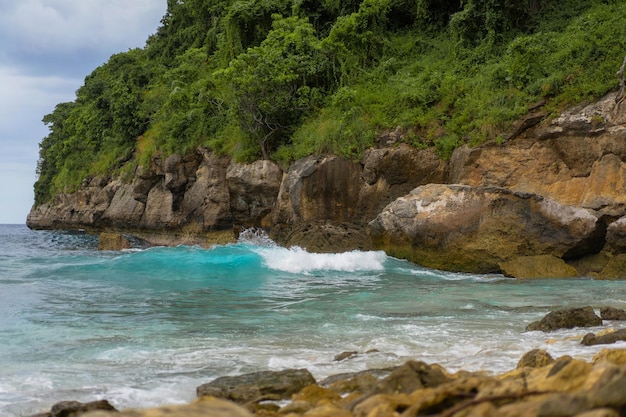 Tropical natural background. Ocean and rocks with plants, beautiful background of the tropical coast.