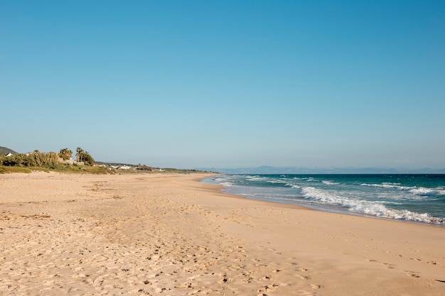 Free photo tropical paradise seashore with clear blue sky