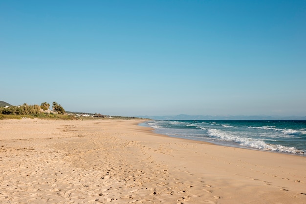 Tropical paradise seashore with clear blue sky