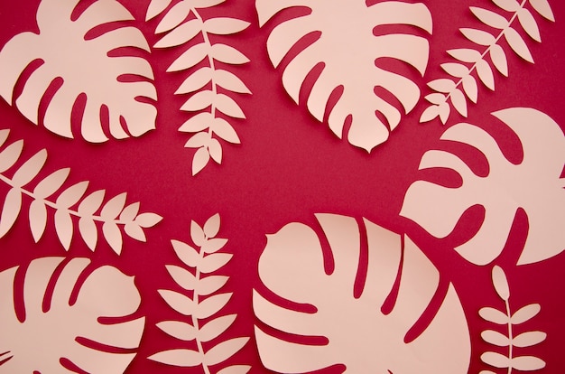 Free Photo tropical pink monstera plants in the style of cut paper