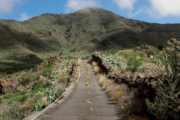 Free photo tropical road in the mountains