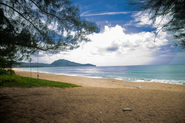 Tropical scenery under the clear sky in Mai Khao Beach, Thailand