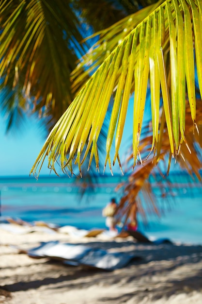 Tropical summer beach with palm leaf tree branch over sea and sky background