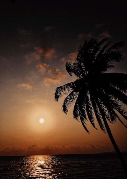 Tropical sunset scene