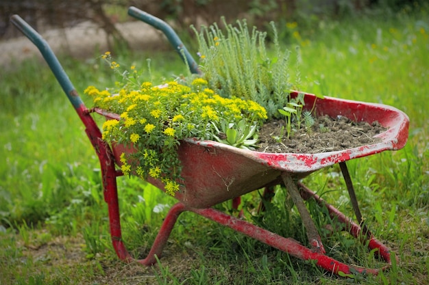 Free photo truck converted into pot