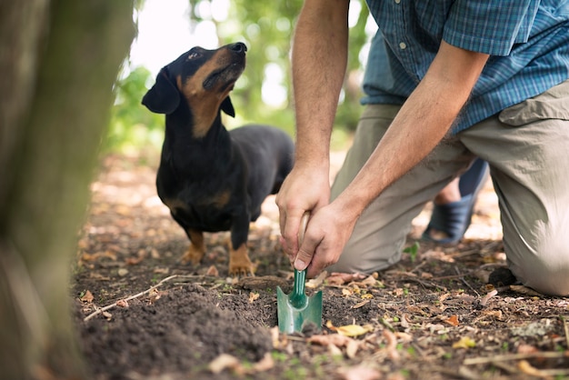 Free Photo truffle hunter and his trained dog in search for truffle mushrooms in the forest