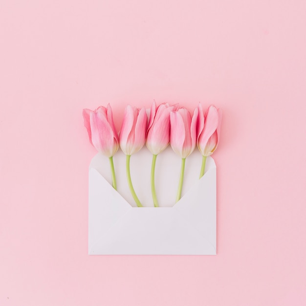 Free photo tulip flowers in envelope on table