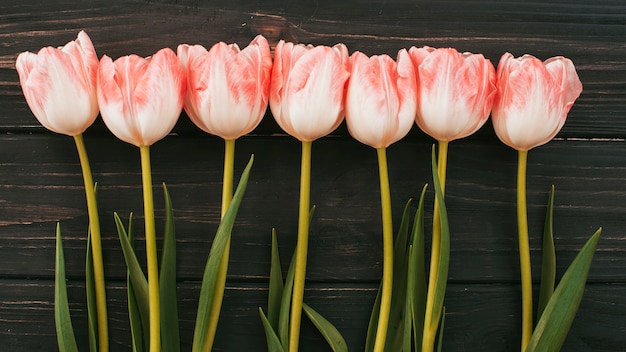 Tulip flowers scattered on wooden table