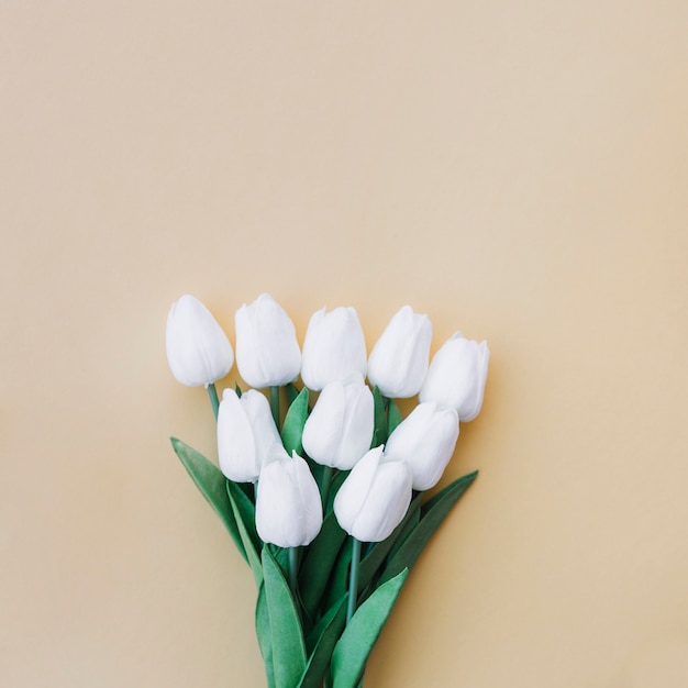 tulips bouquet on pastel yellow background